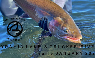 On-the-Water Report | Pyramid Lake and Truckee River | early January 2023