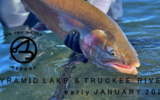 On-the-Water Report | Pyramid Lake and Truckee River | early January 2023