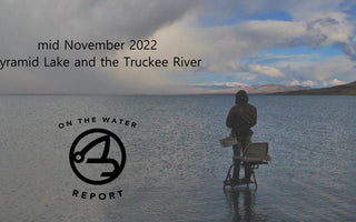 On-the-Water Report | Pyramid Lake and the Truckee River | mid November 2022 | RFS Custom Jaydacator Leader available now
