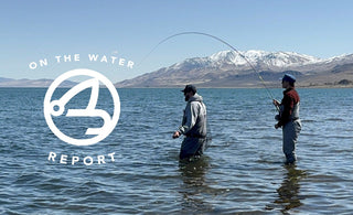 On-the-Water Report | Spring has sprung on our local Waters | mid April 2025