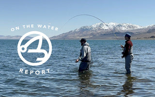 On-the-Water Report | Spring has sprung on our local Waters | mid April 2025