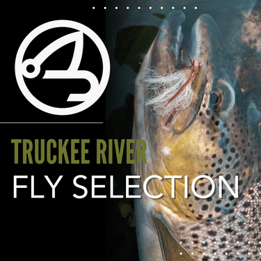 Truckee River Selection - September 2025