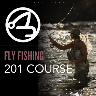 Fly Fishing 201