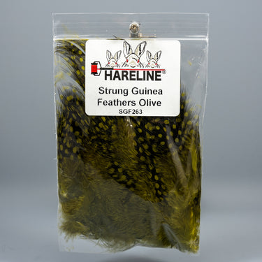 Strung Guinea Feathers