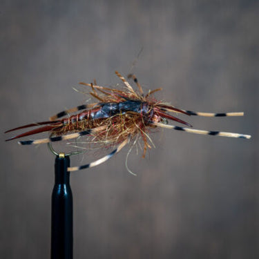 Truckee River Selection - December 2025