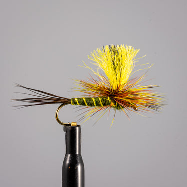Parachute Green Drake