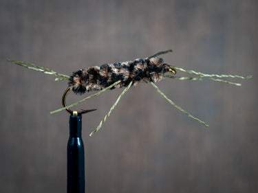 Truckee River Selection - October 2025