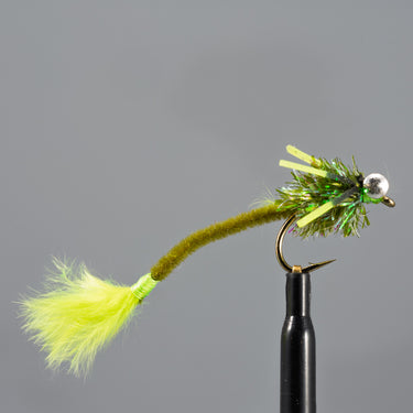 Carp Tickler