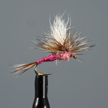 Parachute Pink