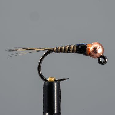 Spanish Bullet