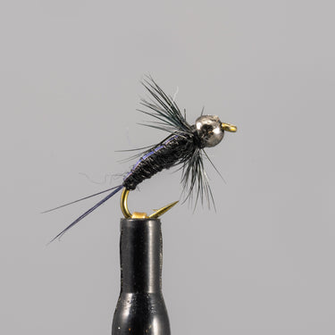 Ready Baetis