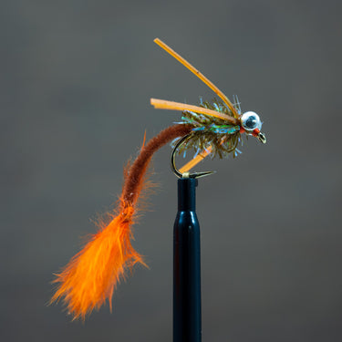 Carp Tickler