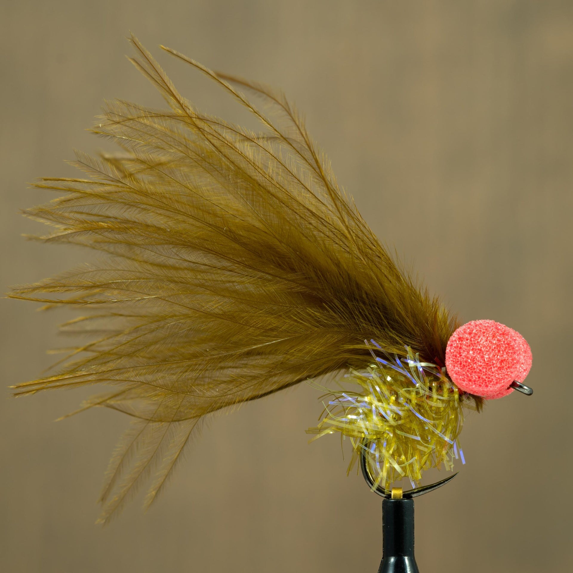 Booby Fly Spanish Olive