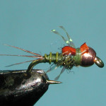 Hogan Brown's S&M Nymph (photo taken from http://stevenojai.tripod.com/smnymph.htm)