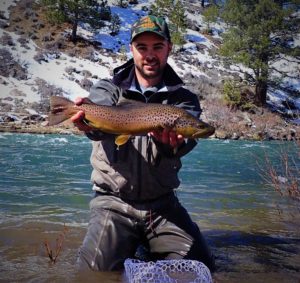 A CA Truckee River resident Brown Trout