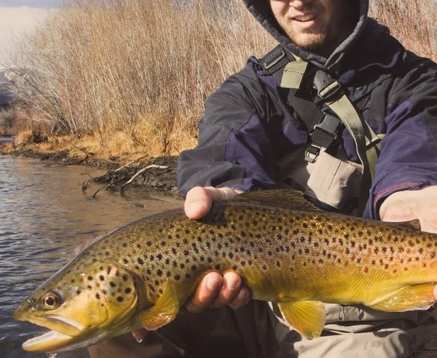 Reno Fly Shop Fly Fishing Report - Truckee River and Pyramid Lake - Mid ...