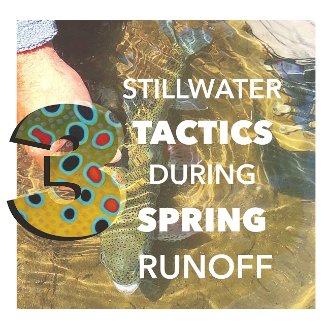3 Stillwater Tactics during Spring runoff