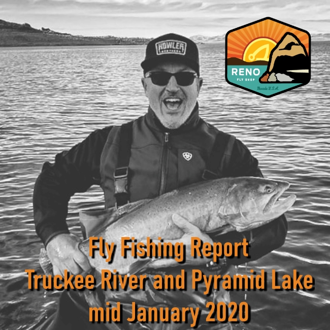Fly Fishing Report Truckee River And Pyramid Lake Mid January