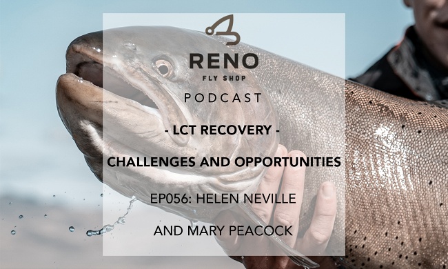 EP056: Helen Neville and Mary Peacock – LCT Recovery – Challenges and Opportunities