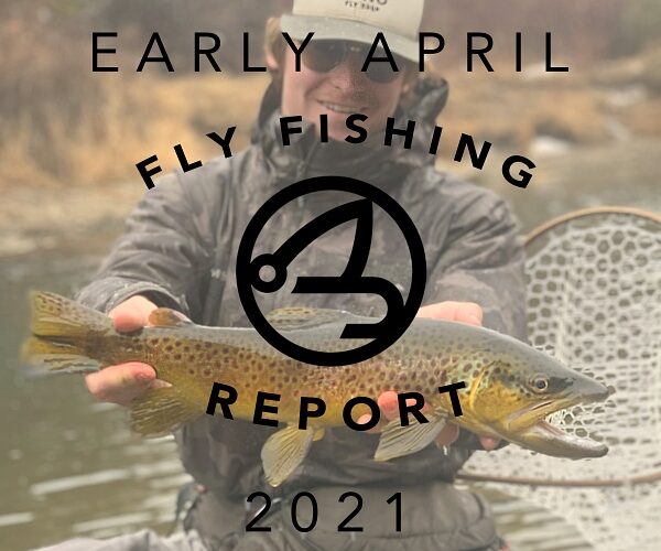 Fly Fishing Report | Pyramid Lake and the Truckee River | early April ...