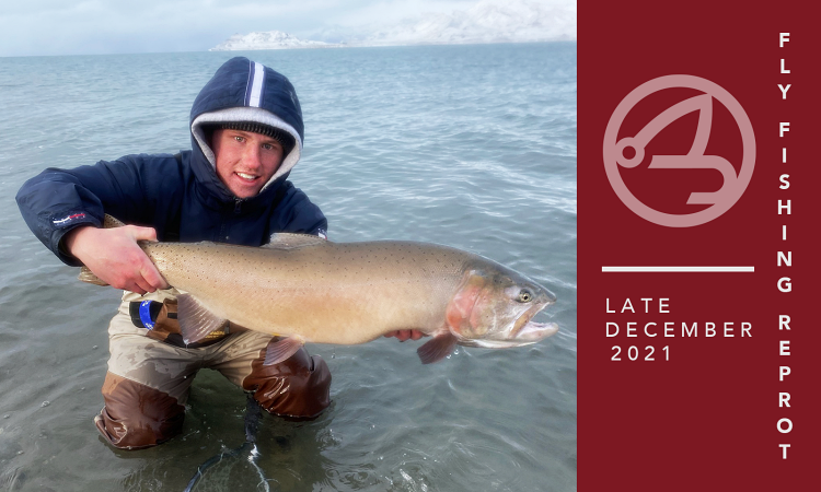 Fly Fishing Report | Truckee River and Pyramid Lake | late December 2021