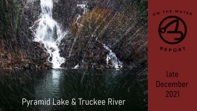 OTW | late December 2021 | Pyramid Lake and the Truckee River | Holiday Hours at the Reno Fly Shop