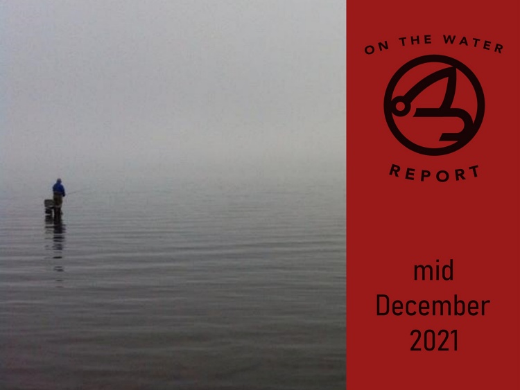 On-the-Water Report | Pyramid Lake and the Truckee River | mid December 2021