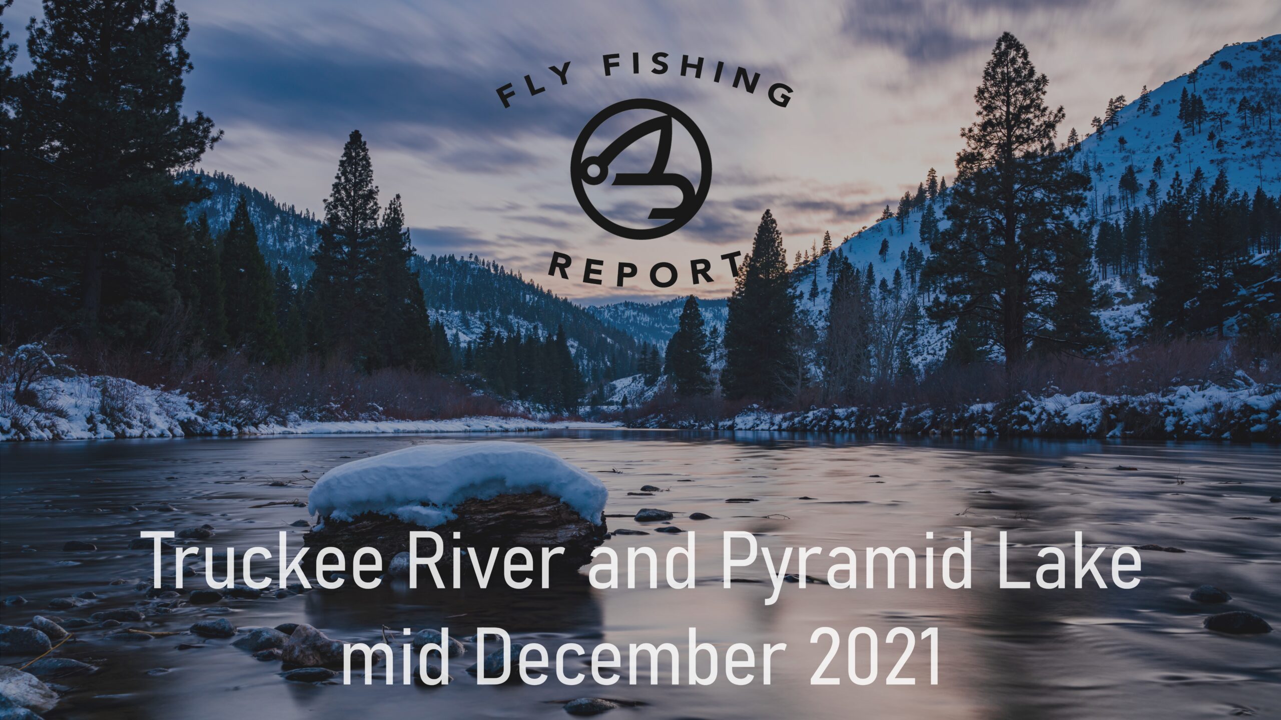 Fly Fishing Report | Truckee River and Pyramid Lake | mid December 2021