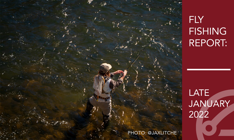 Fly Fishing Report | Truckee River and Pyramid Lake | late January 2022