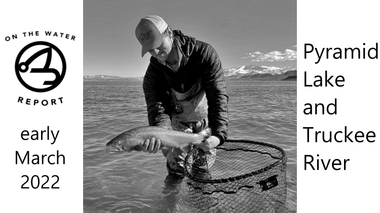 On-the-Water Report | Pyramid Lake and the Truckee River | early March 2022 | Fly Tying Class with Matt Cullen 03/10 @ 6:00