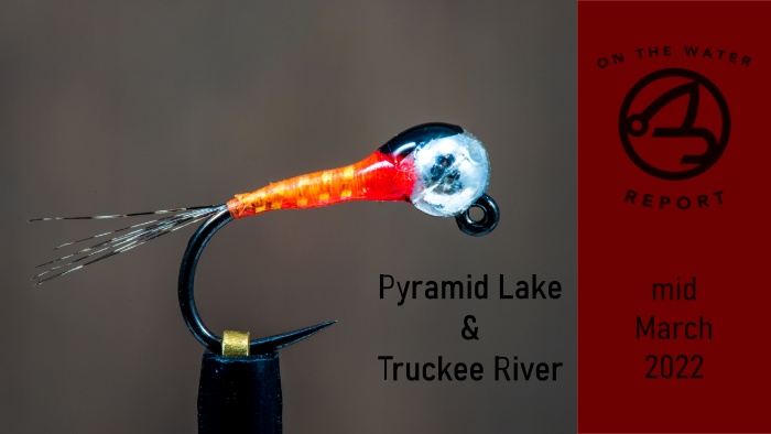 On-the-Water Report | Pyramid Lake and the Truckee River | mid March 2022