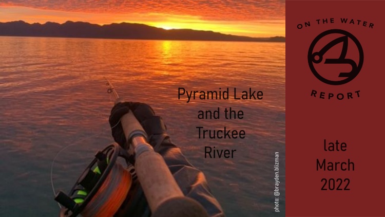 On-the-Water Report | Pyramid Lake and the Truckee River | late March 2022