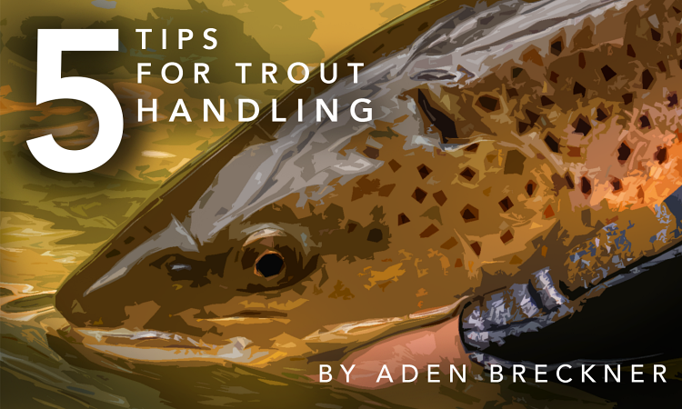 Five Tips for Fish Handling