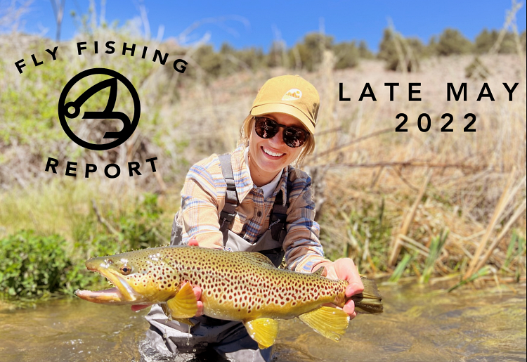 Fly Fishing Report | Truckee River and area lakes | TJ Hooker Tying Tutorial and Tying Kit