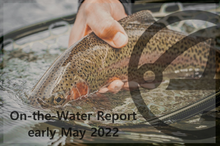On-the-Water Report | Truckee River | early May 2022 | Fly Tying Class May 12