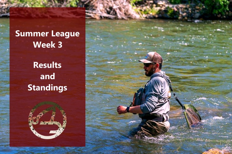 Summer League – Week 3 Results, Big Fish and Overall Standings