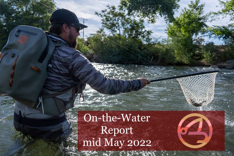 On-the-Water Report | Truckee River | mid May 2022