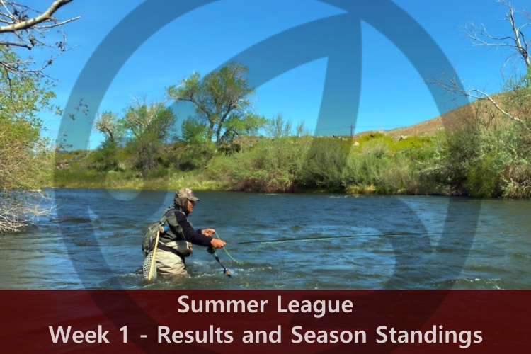 Summer League – Week 1 Results