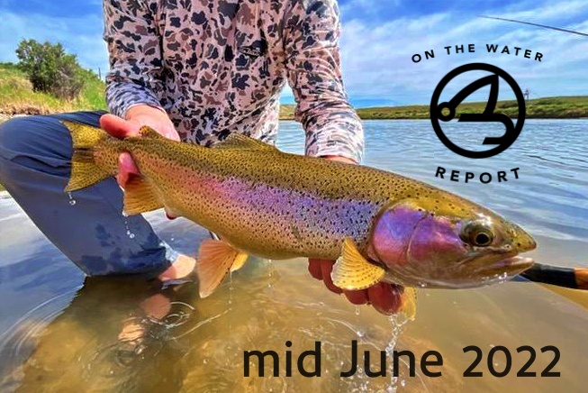 On-the-Water Report | Truckee River | mid June 2022