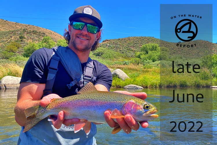 On-the-Water Report | Truckee River | late June 2022