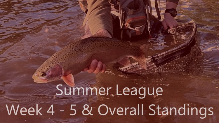 Summer League | Week 4 & 5 Recap and Overall Standings