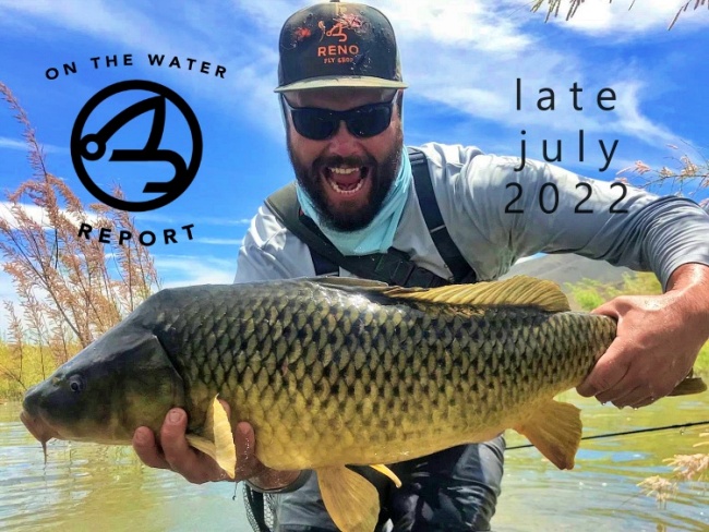 On-the-Water Report | Truckee River | mid July 2022