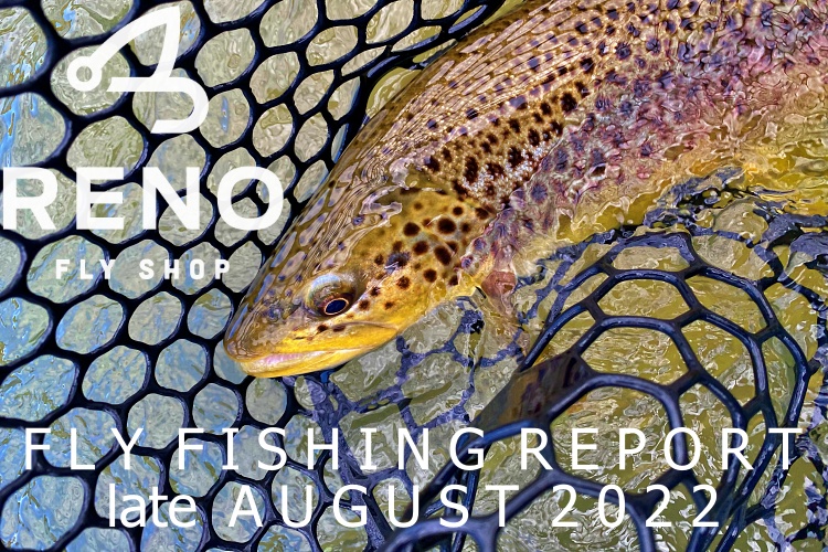 Fly Fishing Report | Truckee River | late August 2022 | ESN Promotion Starts Today