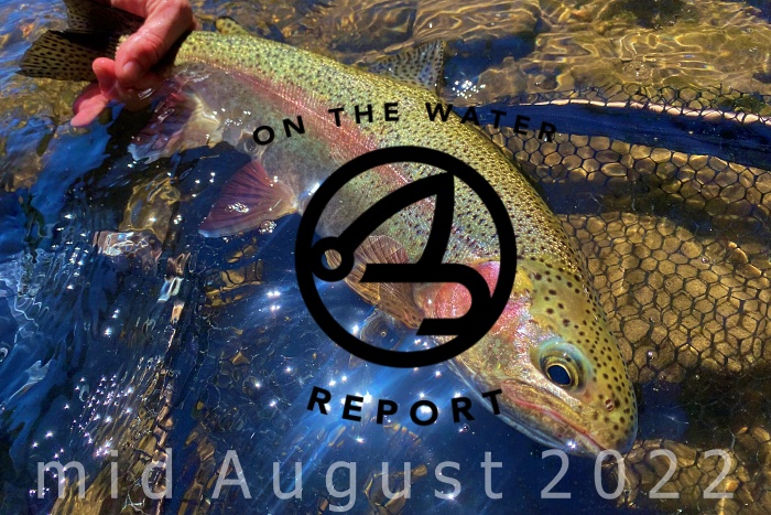 On-the-Water Report | Truckee River | mid August 2022 | NEW RFS HydroFlask
