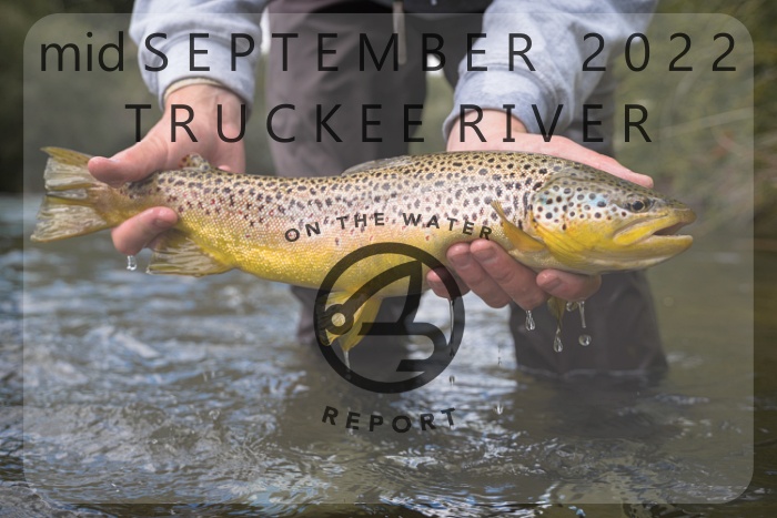 On-the-Water Report | Truckee River | mid September | NEW flies in the Shop