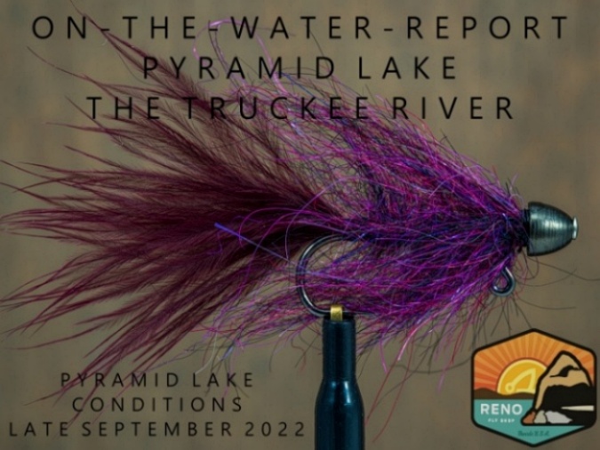On-the-Water Report | Pyramid Lake and Truckee River | late September 2022 | new Pyramid Lake Flies