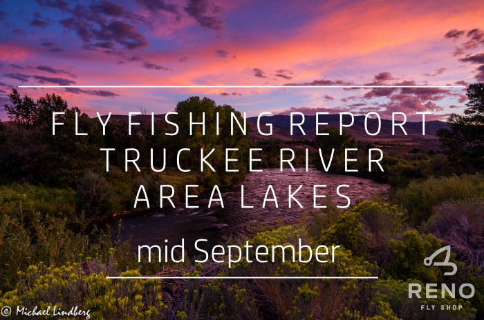 Fly Fishing Report | Truckee River and Other Waters | mid September