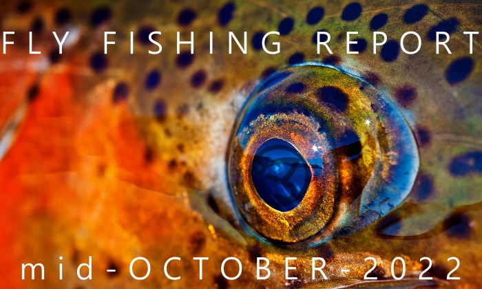 Fly Fishing Report | Pyramid Lake and the Truckee River | mid October 2022