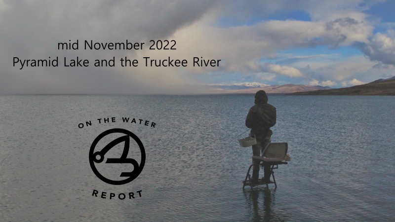 On-the-Water Report | Pyramid Lake and the Truckee River | mid November 2022 | RFS Custom Jaydacator Leader available now