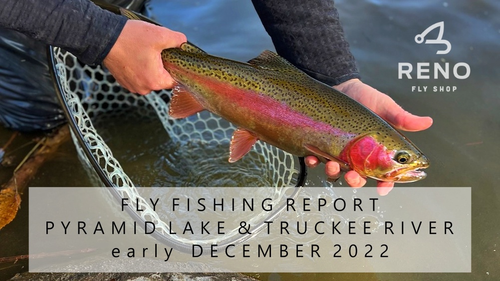 Fly Fishing Report | Pyramid Lake and Truckee River | early December | Fly Tying Class – CXI Special and a GT Fly